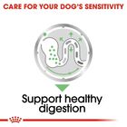Royal Canin Dog Adult Digestive Care 85 gr