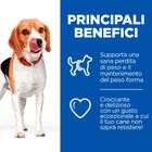 Hill's Dog Healthy Weight Treats 200 gr