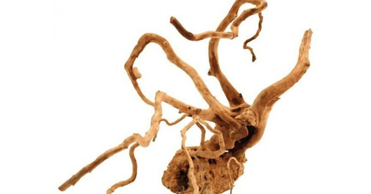 Legno Honeycomb Amtra Per Acquari - Decorazione Naturale Per Aquascaping, Taglia M 30-50cm - Foto 7