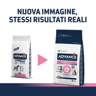 Advance Veterinary Diet Atopic Dog Adult Medium Maxi con Trota 12 kg
