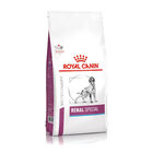 Royal Canin Veterinary Diet Dog Renal Special 2kg