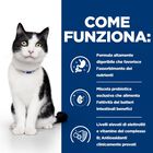 Hill's Prescription Diet Cat i/d spezzatino con Pollo e verdure 82 gr