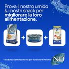 N&D Farmina Ocean Cat Adult Neutered Aringa & Arancia 300 gr