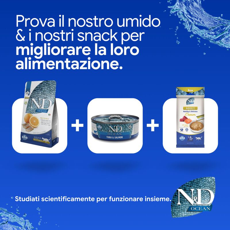 N&D Farmina Ocean Cat Adult Neutered Aringa & Arancia 300 gr