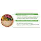 Natural Trainer Dog Adult Small & Toy Puppy & Junior con Pollo Fresco 800 gr