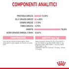Royal Canin Kitten in Salsa 85 gr
