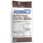 Forza 10 Dog Active Intestinal Colon Fase 1   4 kg
