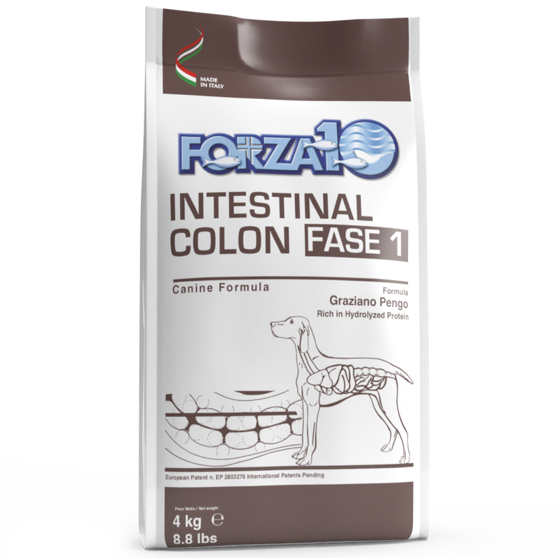 Forza 10 Dog Active Intestinal Colon Fase 1   4 kg