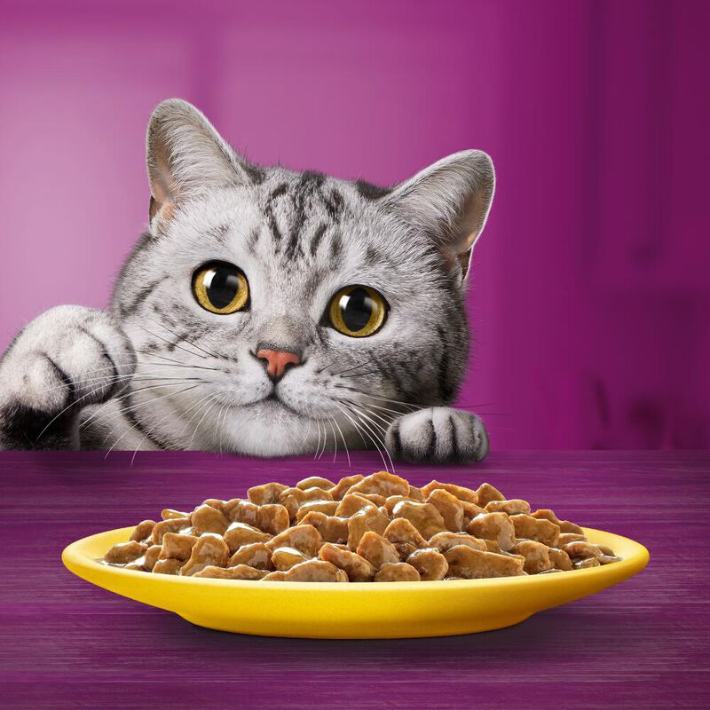 Whiskas Pranzetti Senior Carni Bianche in Salsa con Pollo e Tacchino 6x50gr