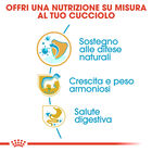 Royal Canin Dog Puppy Labrador Retriver 12 kg