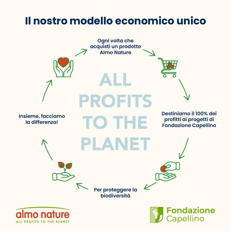 Almo Nature Cat Adult Urinary Help con Pesce 70gr