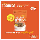 Schesir Dog Adult Snacks Trainers al Pollo 113gr