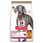Hill's Science Plan Dog Large Breed No Grain con Pollo 14 kg