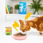 Edgard & Cooper Bocconcini in Salsa Agnello e Pollo 85 gr