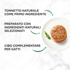 Gourmet Nature's Creations Fiocchi di Tonnetto in Gelèe 70gr