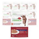 Natural Trainer Cat Adult al Salmone 85 gr
