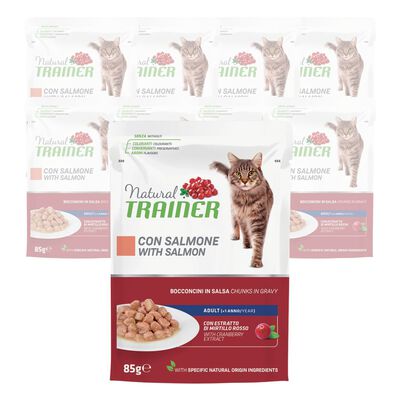 Natural Trainer Cat Adult al Salmone 85 gr