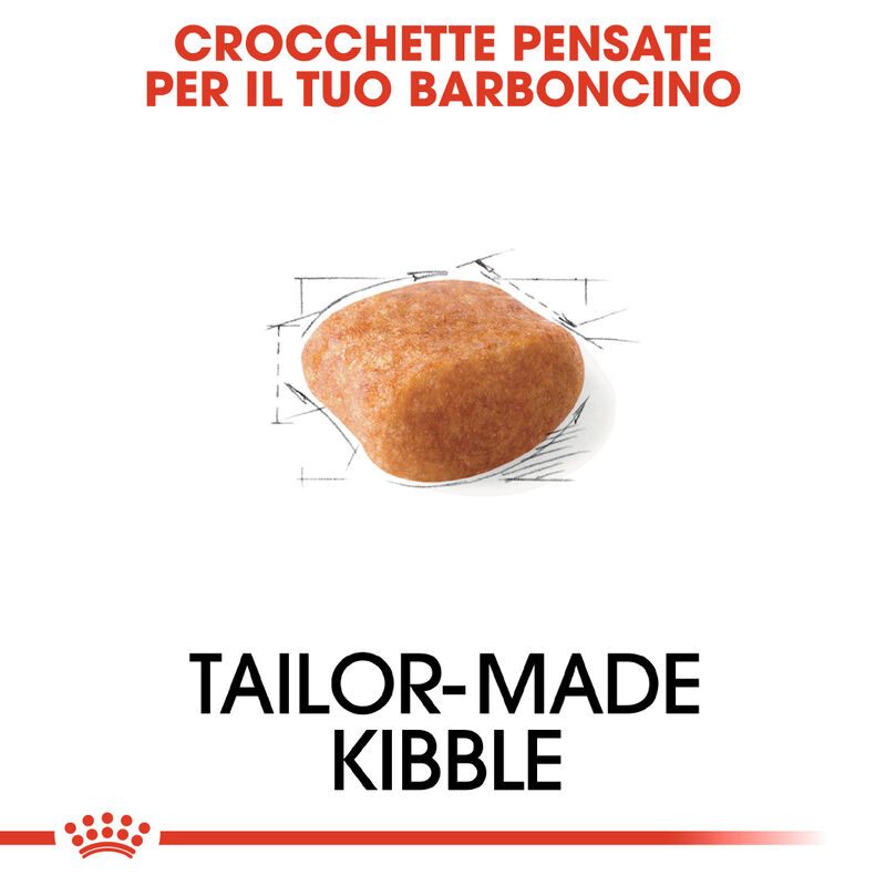 Royal Canin Dog Adult e Senior Barboncino 1,5 kg