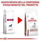 Royal Canin Veterinary Diet Dog Hepatic 12 kg