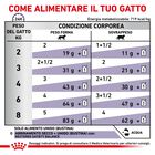 Royal Canin Expert Cat Adult Neutered Balance 85x12 pz