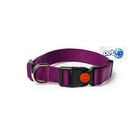 Petup Collare nylon a sgancio mm 25 viola