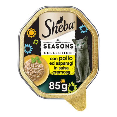 Sheba Cat Season Collection con Pollo e Asparagi in salsa cremosa 85 gr