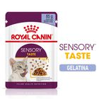Royal Canin Cat Adult Sensory Taste Jelly 85 gr