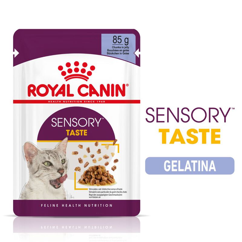 Royal Canin Cat Adult Sensory Taste Jelly 85 gr