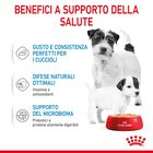 Royal Canin Dog Adult e Puppy Starter 195 gr