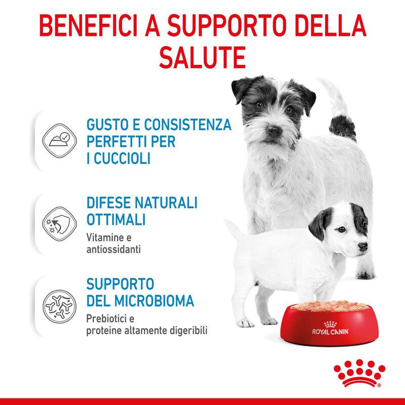 Royal Canin Dog Adult e Puppy Starter 195 gr