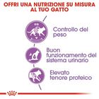 Royal Canin Cat Adult Sterilised 37 2 kg