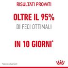 Royal Canin Cat Adult Digestive Care 10 kg