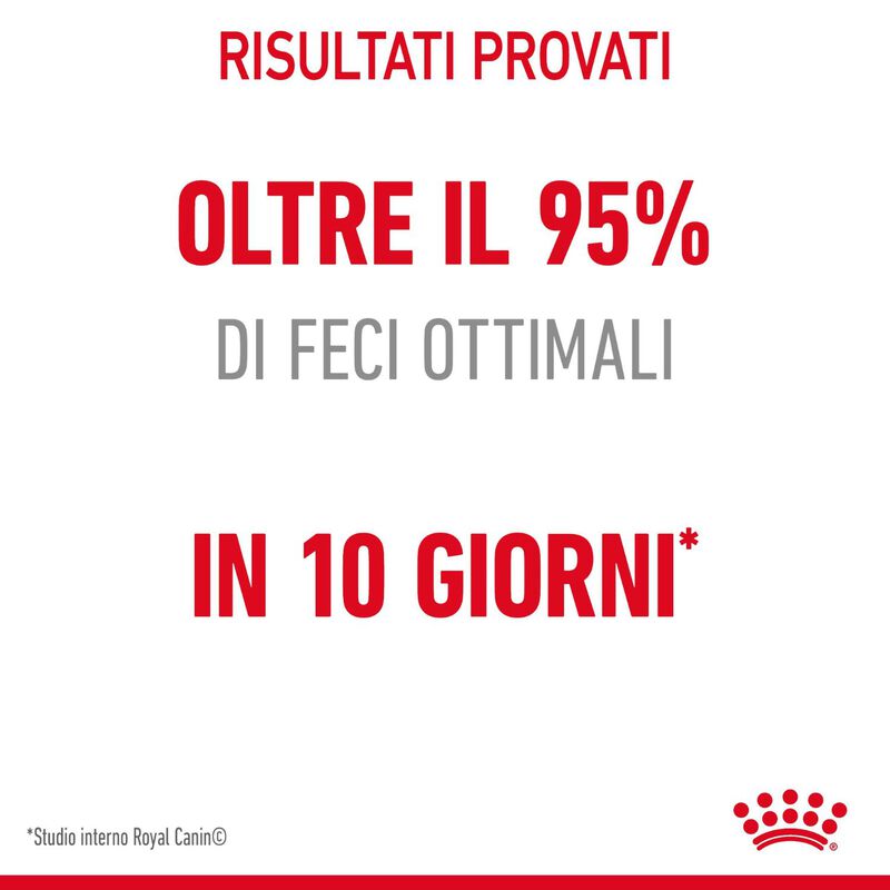 Royal Canin Cat Adult Digestive Care 10 kg