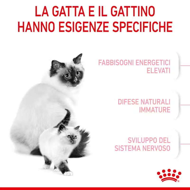 Royal Canin Cat Adult e Kitten Mother and Babycat 400 gr