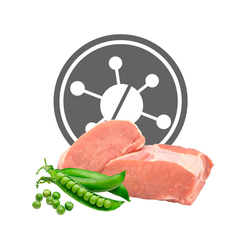 Exclusion Monoprotein Veterinary Diet Dog Medium Large Hypoallergenic Pork Peas 12 Kg