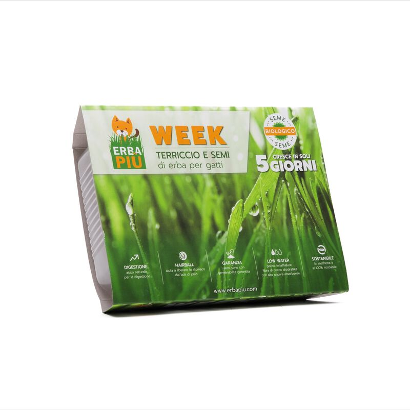 Erba per gatti Week Erbapiù