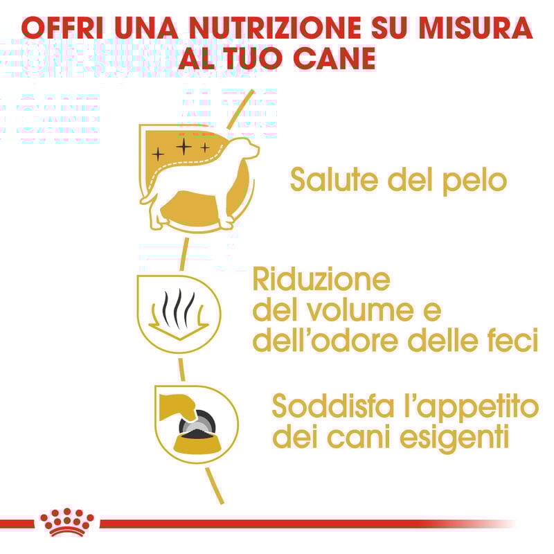 Royal Canin Dog Adult Maltese 500 gr - Scad. Gennaio 26