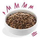 Edgard & Cooper Dog Adult Cervo e Anatra 2,5 kg