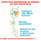 Royal Canin Dog Puppy Chihuahua 500 gr