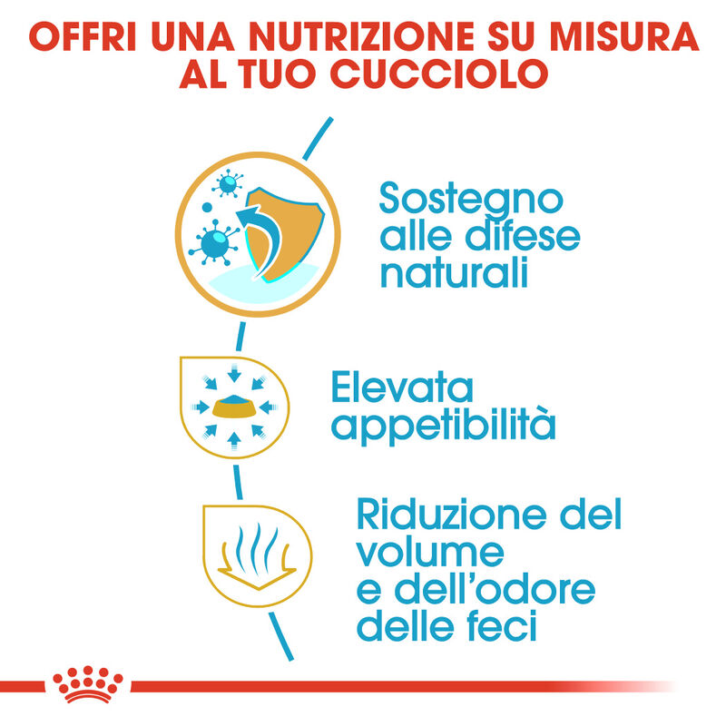 Royal Canin Dog Puppy Chihuahua 500 gr