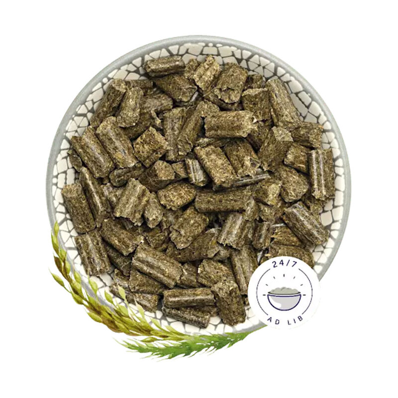 Bunny Sogno per conigli Young 600gr