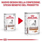 Royal Canin Veterinary Diet Dog Adult Gatrointestinal Low Fat 420 gr