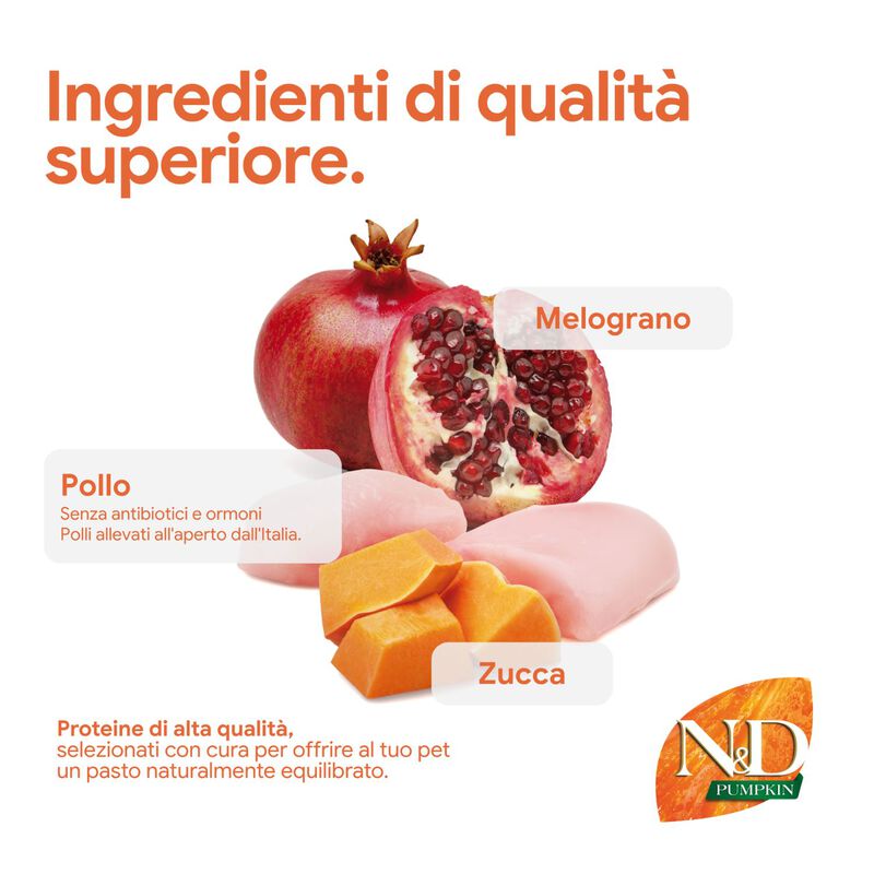 N&D Farmina Pumpkin Dog Adult Medium & Maxi Pollo e Melograno 12 kg