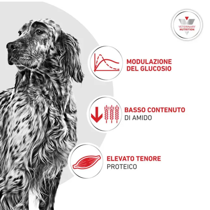 Royal Canin Veterinary Diet Dog Adult Glycobalance 7kg