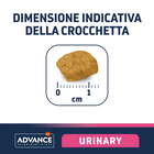 Advance Veterinary Diets Cat Urinary 400gr