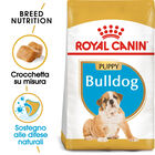 Royal Canin Dog Puppy Bulldog 12 kg  