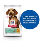 Hill's Science Plan Dog Perfect Weight Small & Mini Adult con Pollo 1,5 kg