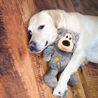 Kong Wild Knots Peluche Orsetto per cani M/L