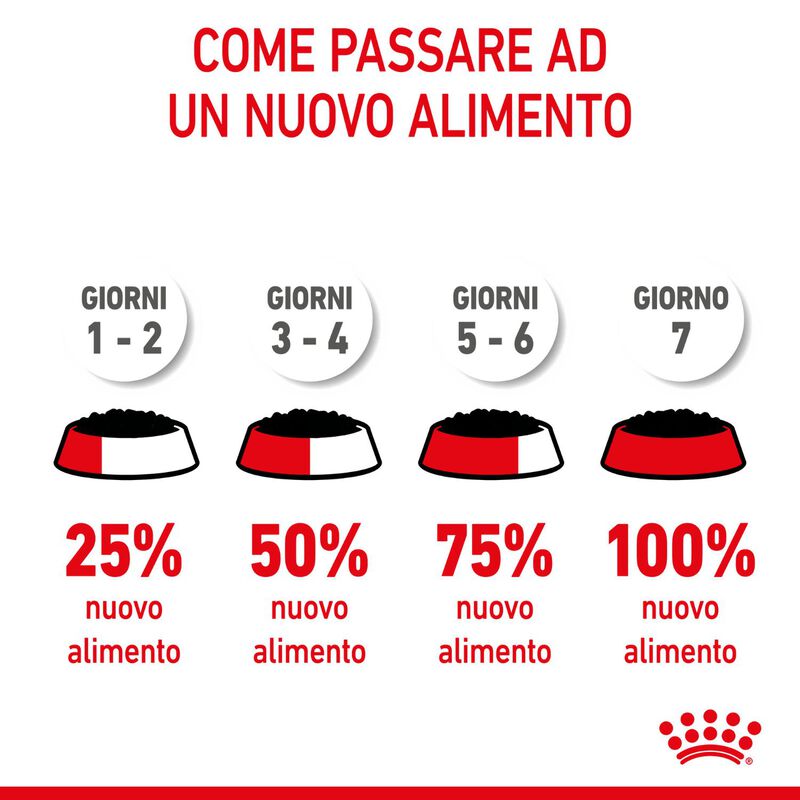 Royal Canin Dog Medium Puppy 140 gr