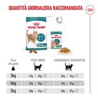 Royal Canin Cat Senior Ageing +11 anni 4 kg